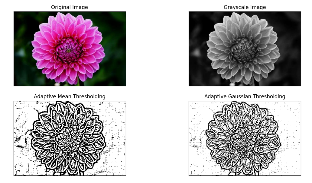 A collage of different images of flowers

Description automatically generated
