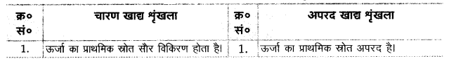 UP Board Solutions for Class 12 Biology Chapter 14 Ecosystem Q.6.1