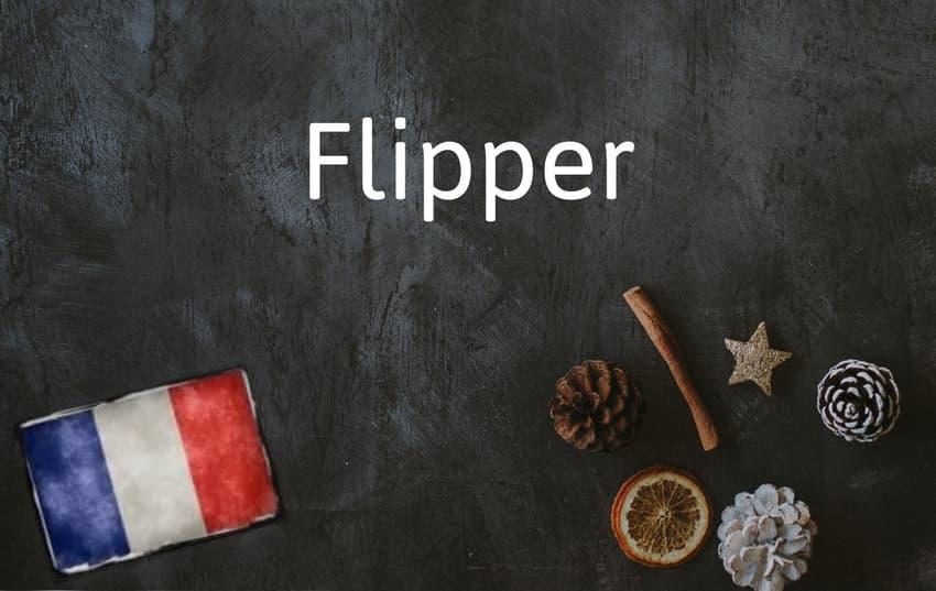 French Word of the Day: Flipper