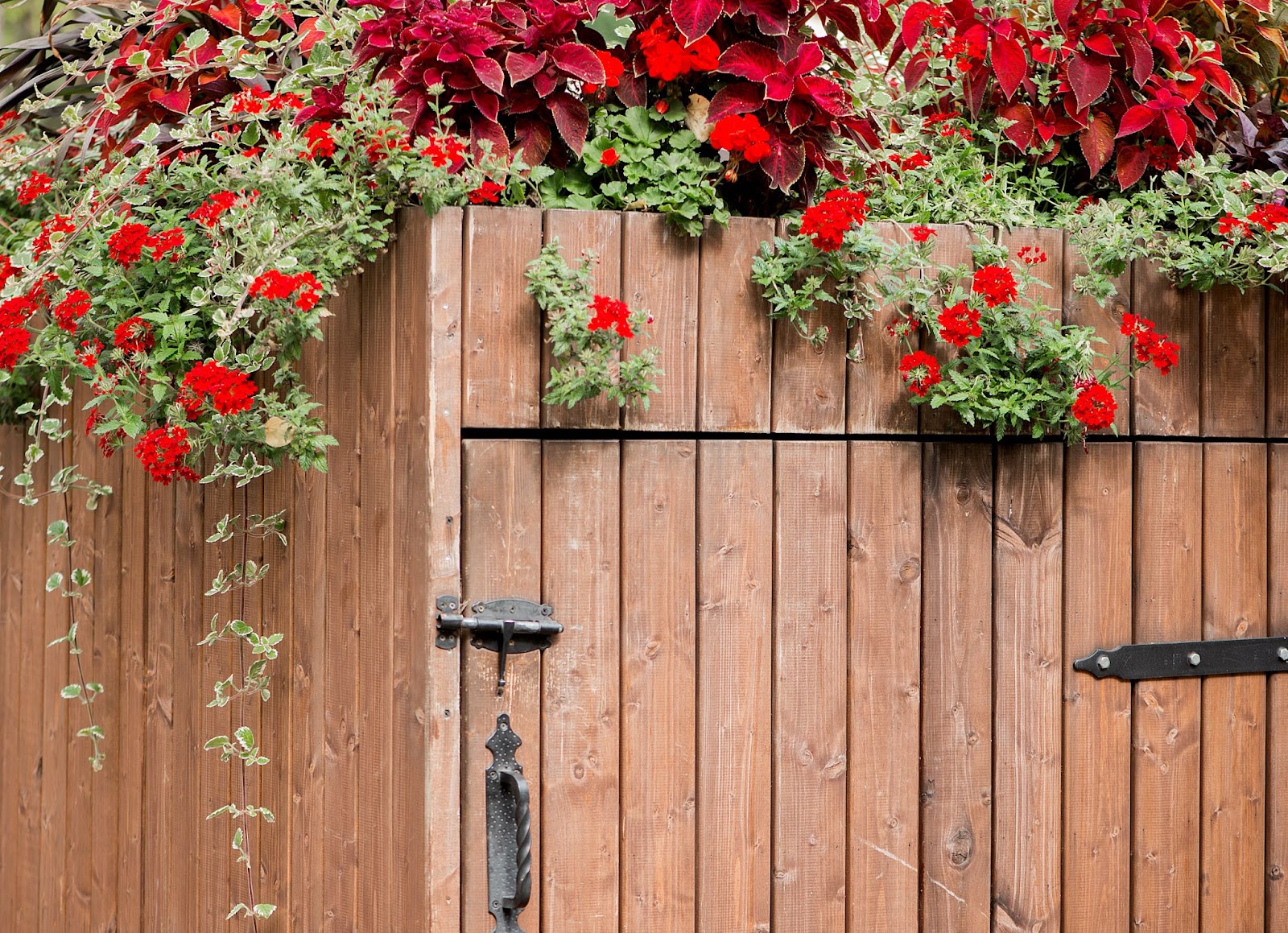 Wooden gate with flowers growing over it. 