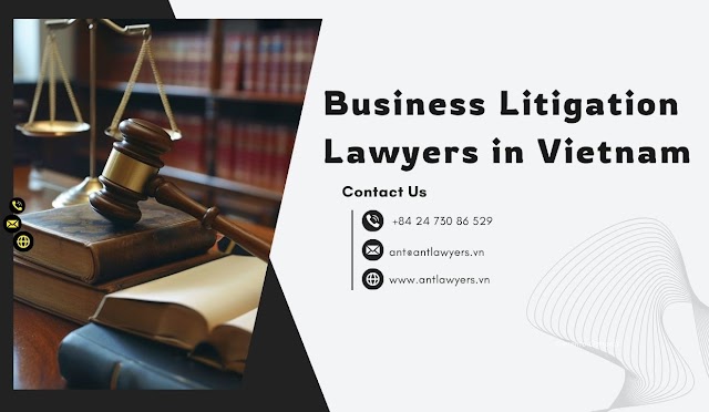 Navigating Disputes: The Importance of Early Engagement with Business Litigation Lawyers in Vietnam