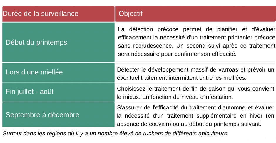 Lutte contre Varroa : Conseils Essentiels pour Protéger Vos Abeilles - Non classifié(e)