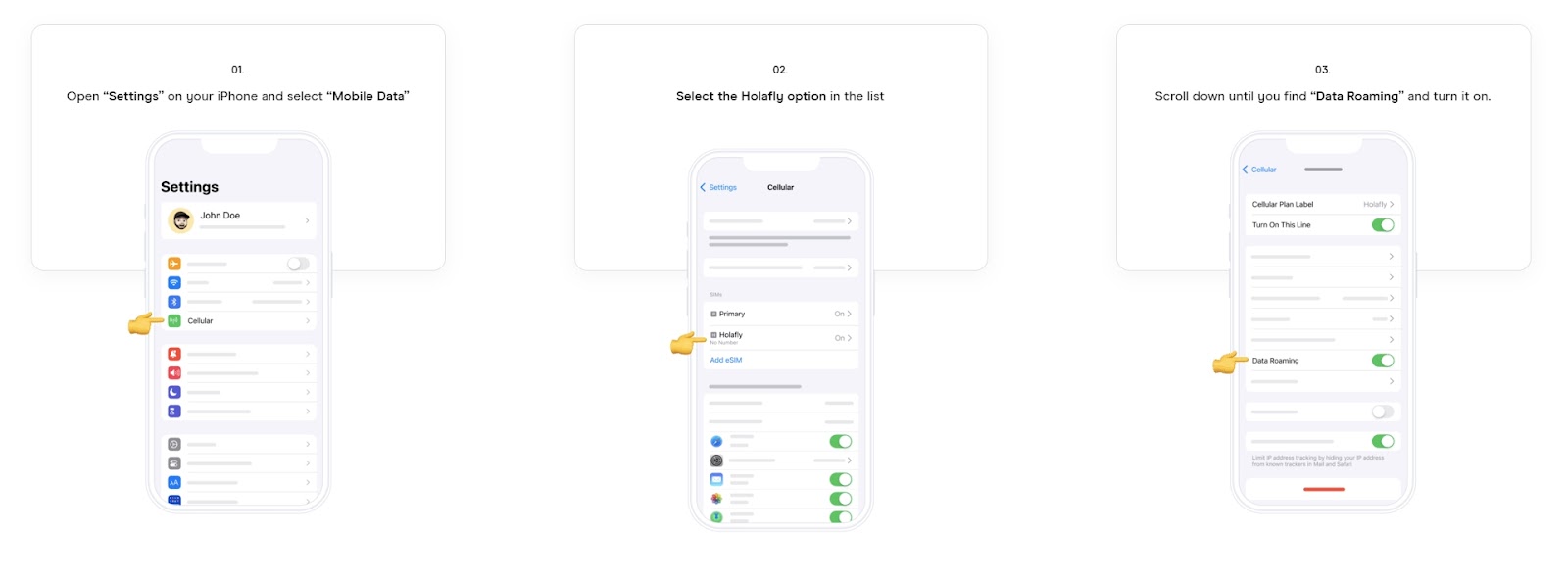 activation guide holaflt