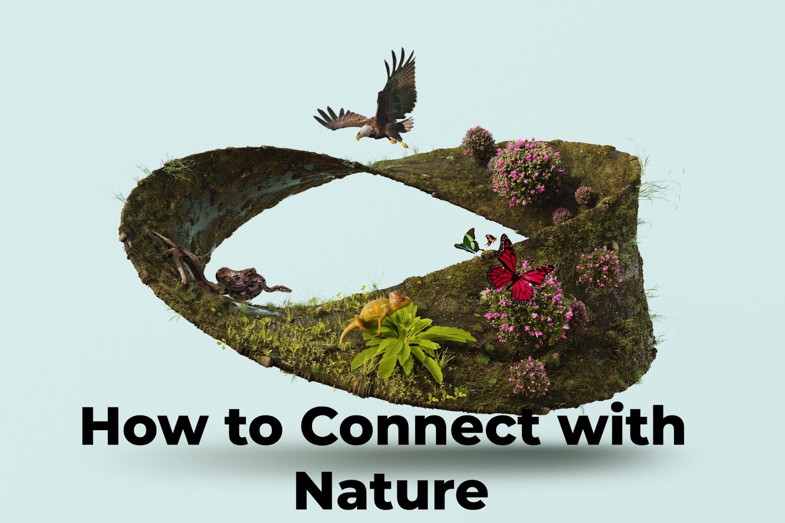 Connect with nature