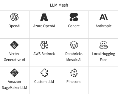 Through the LLM Mesh, Dataiku offers connections to various LLM providers. 