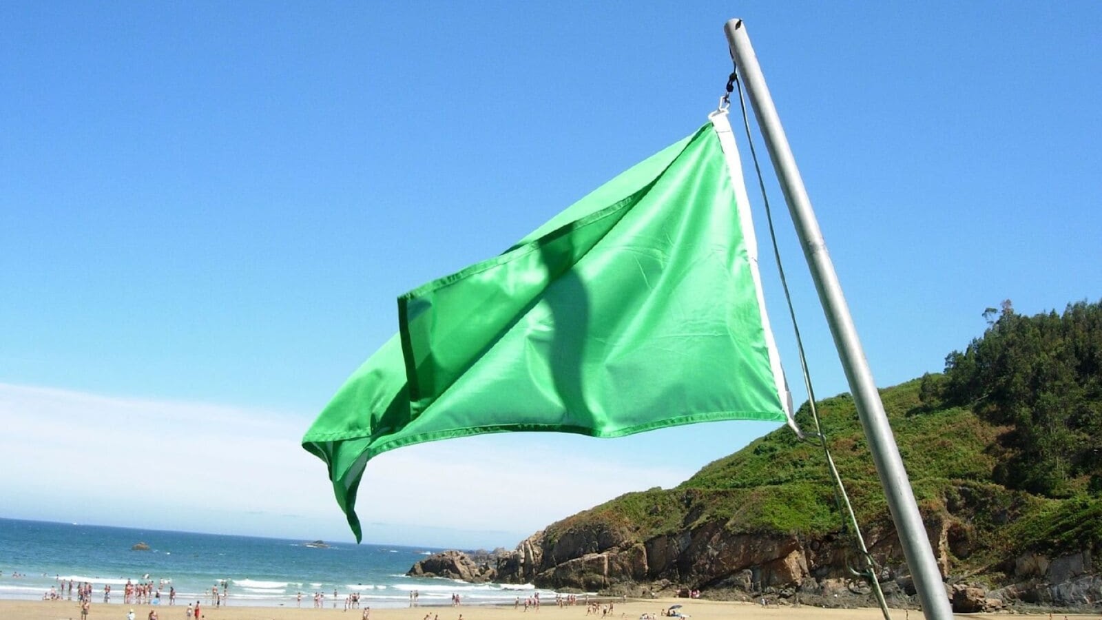 An image of a green safety beach flag
