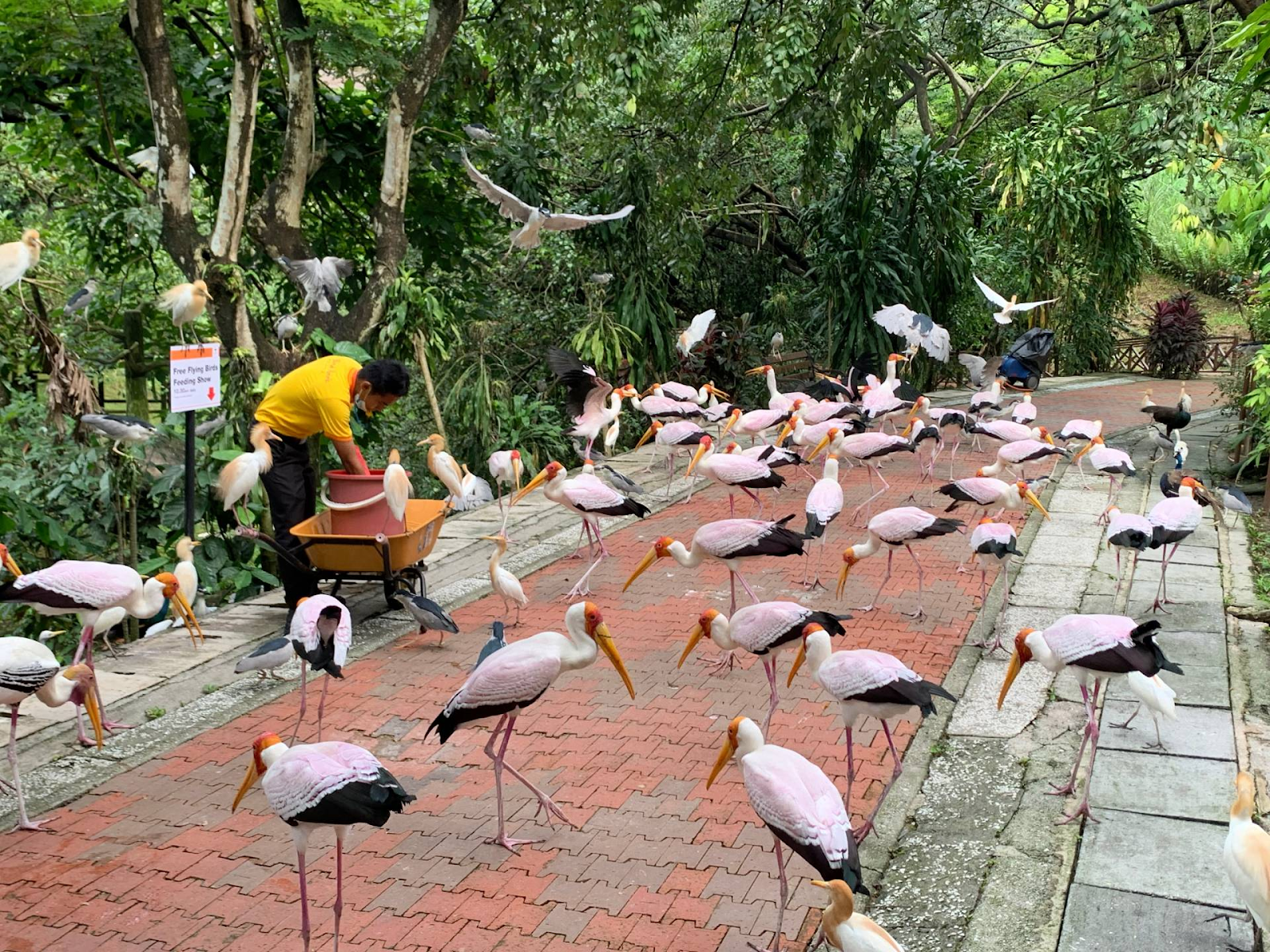 20+ Tempat Menarik Di KL, Destinasi Mesra Kanak-kanak!