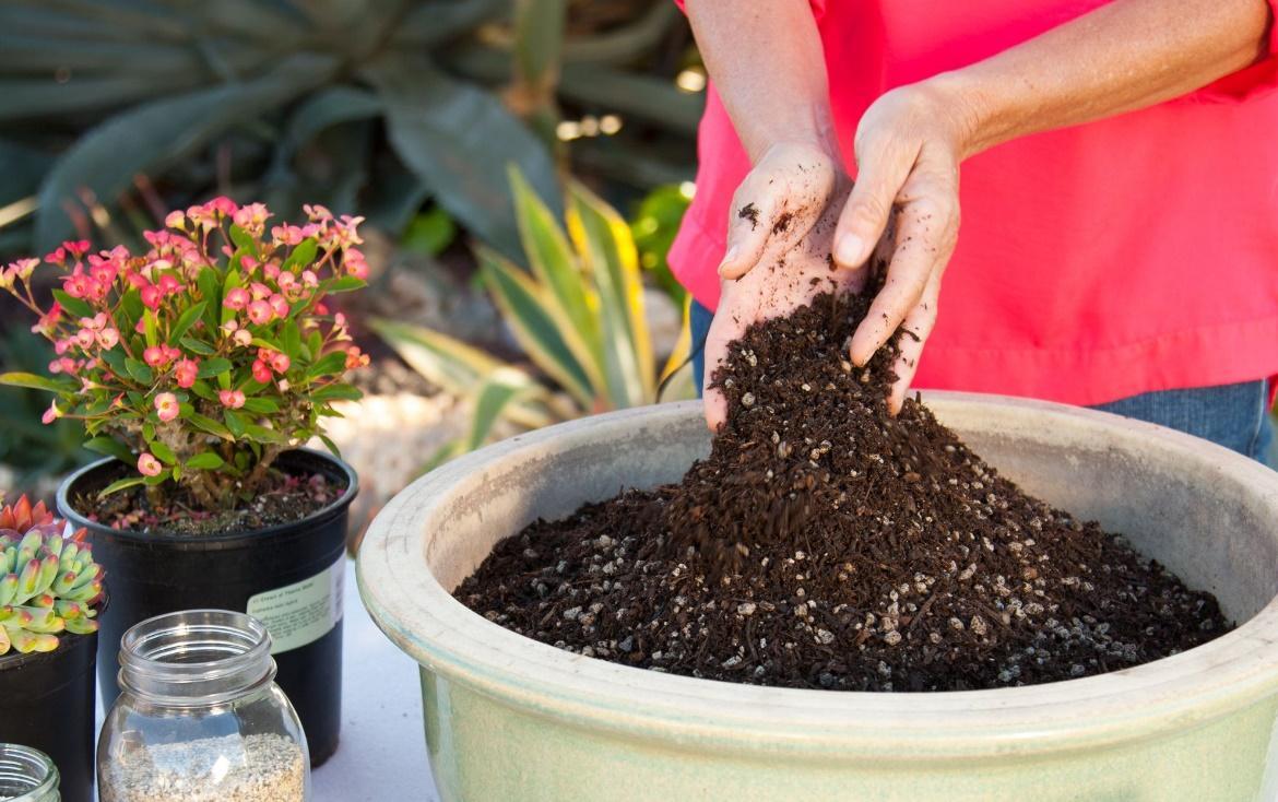 Potting Soil for Garden