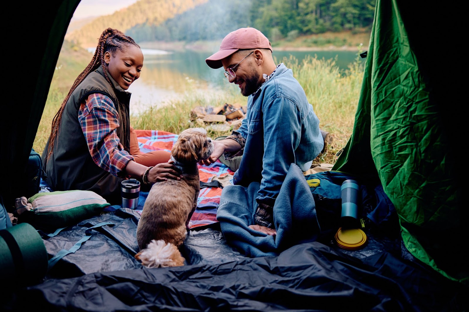 Solo Hiking With Dogs: The Ultimate Guide to Backpacking Pups.