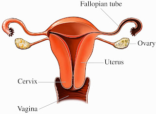 best ivf hospital in lucknow