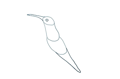 HOW TO DRAW A HUMMINGBIRD STEP-BY-STEP GUIDE