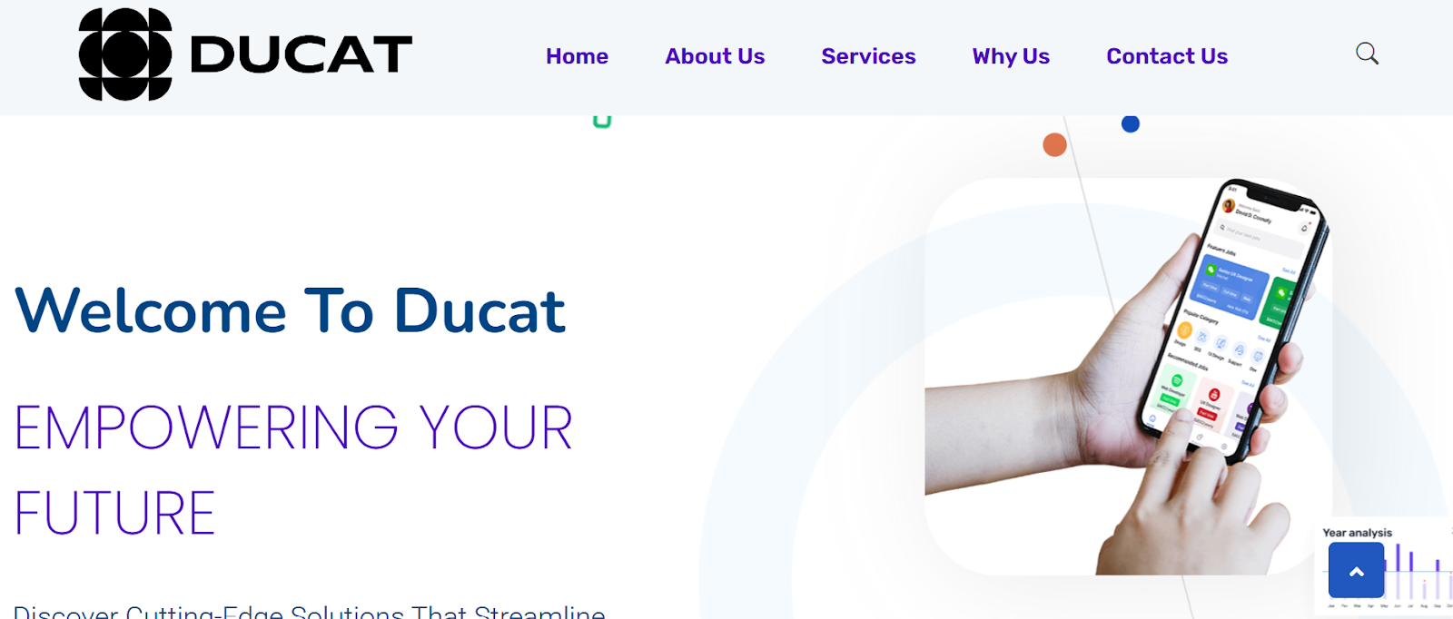 Ducat website snapshot highlighting the services it offers.