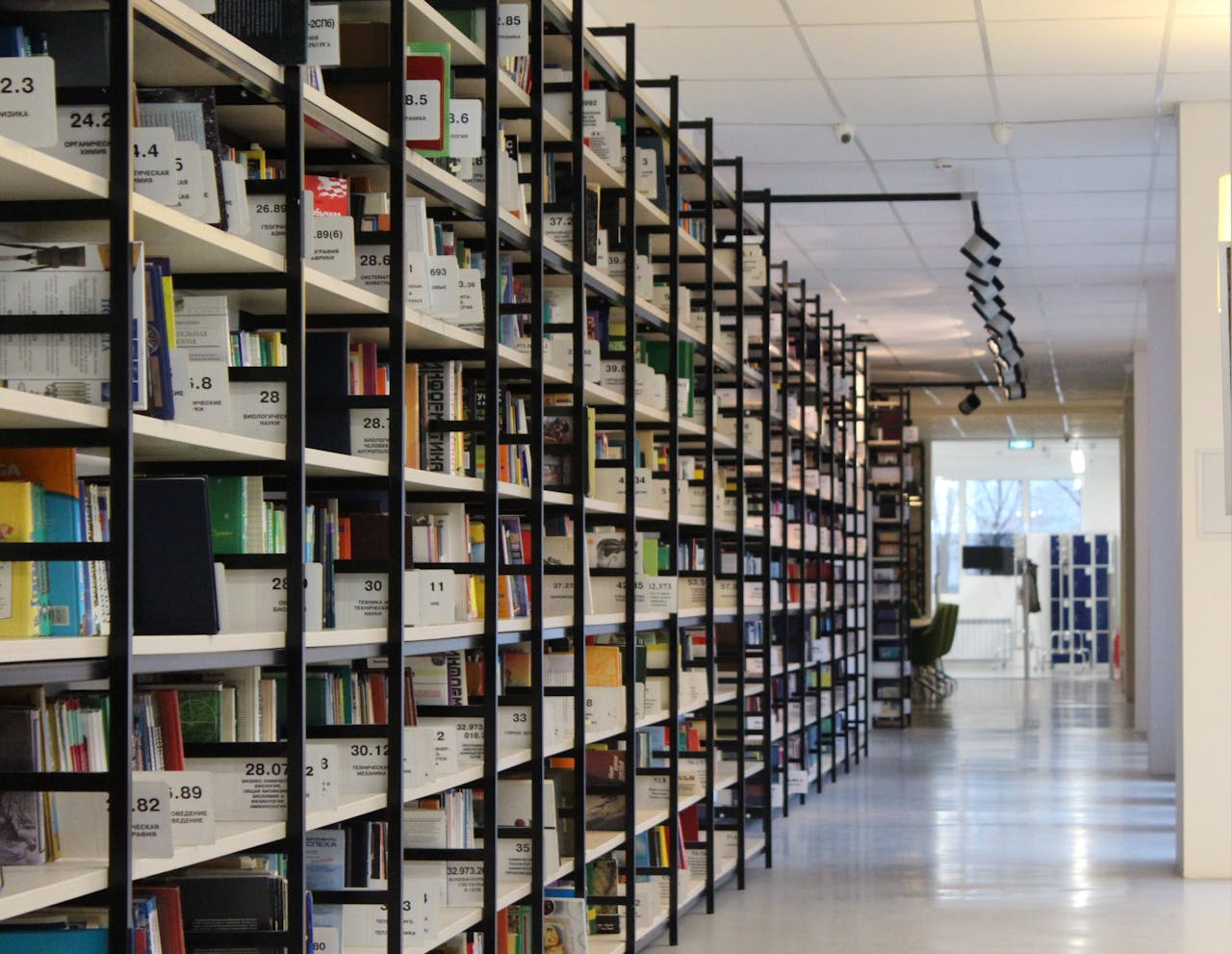 A row of books neatly arranged on shelves in a library.