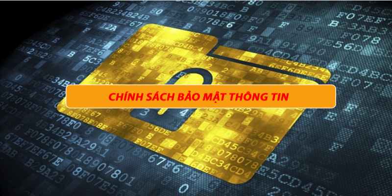 gioi thieu chinh sach bao mat eu9