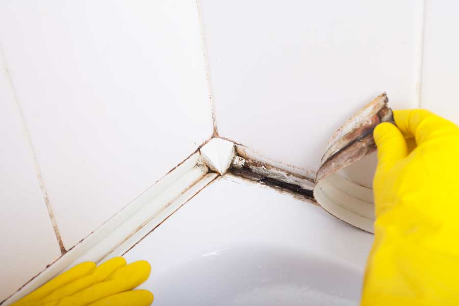 mold on shower caulk