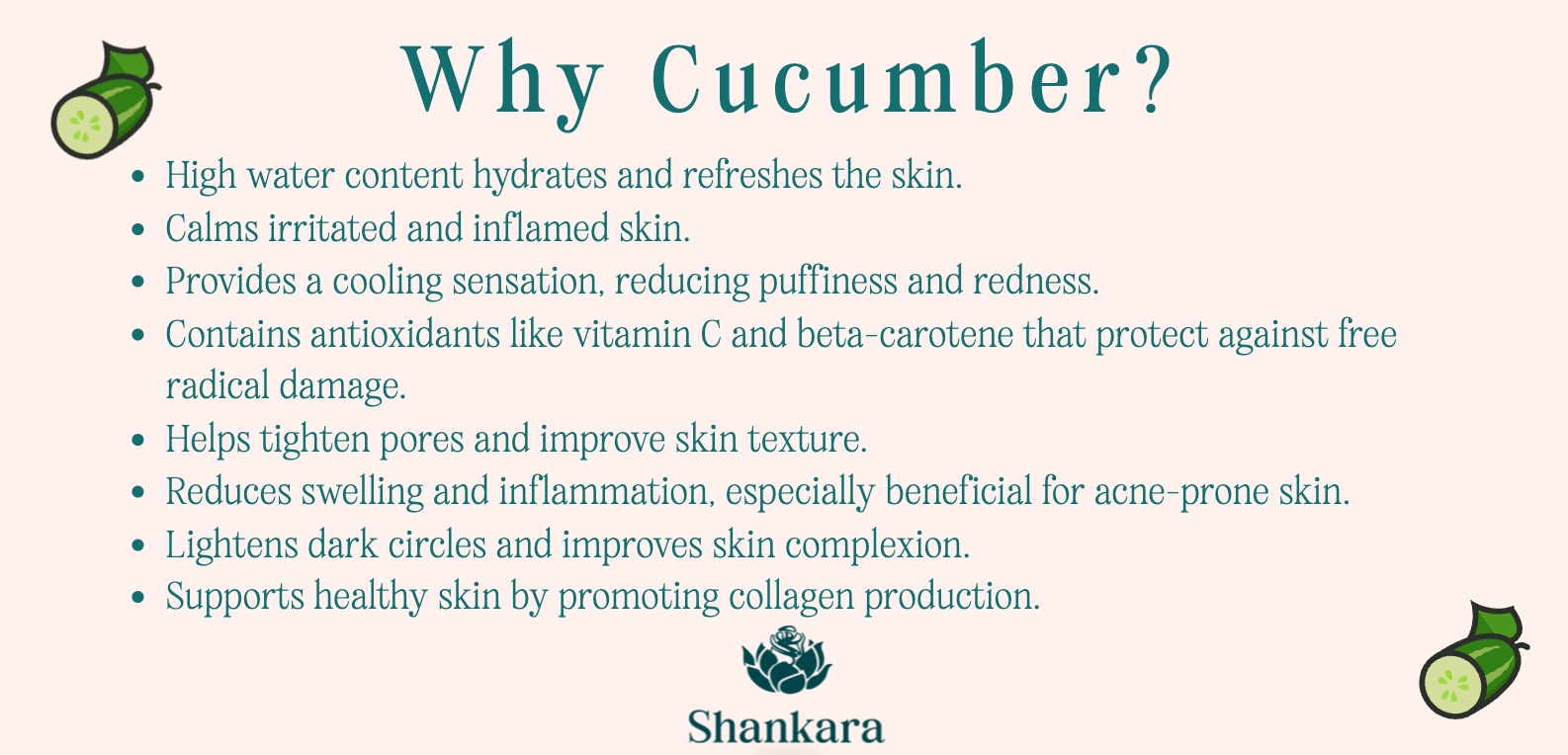 Infographic titled "Why Cucumber?" listing skin benefits of cucumber, including hydration, calming irritation, cooling effects, antioxidant protection, pore tightening, reducing inflammation, improving complexion, and promoting collagen. Cucumber icons in corners. Shankara logo at bottom.