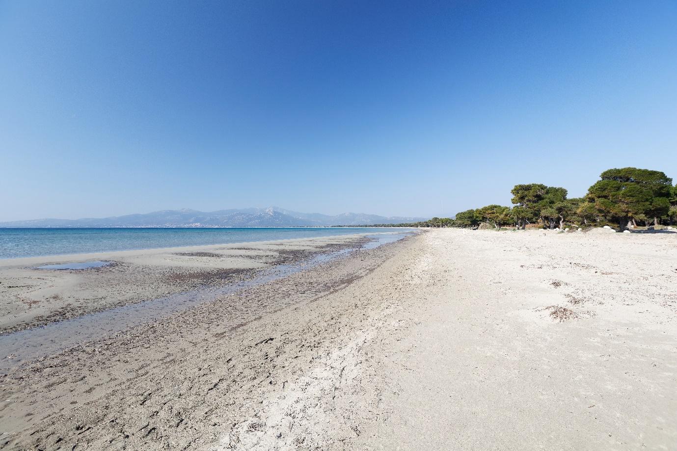 A sandy beach with trees and water

Description automatically generated