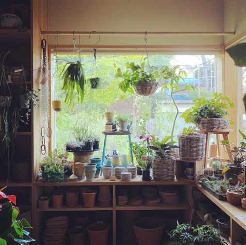 部屋に備え付けている様々な花

中程度の精度で自動的に生成された説明