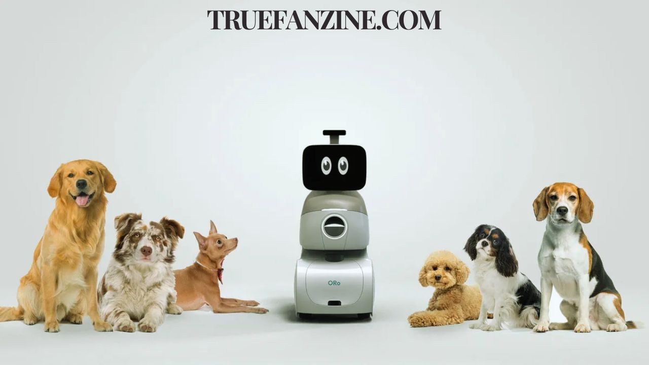 Dog and Robot