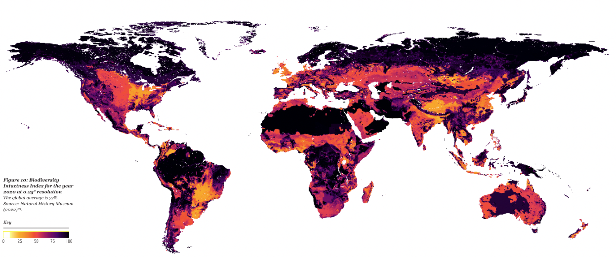 Evaluating Nature-Based Carbon Projects for Ecological Integrity