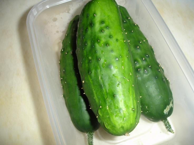 A group of cucumbers in a plastic container

Description automatically generated