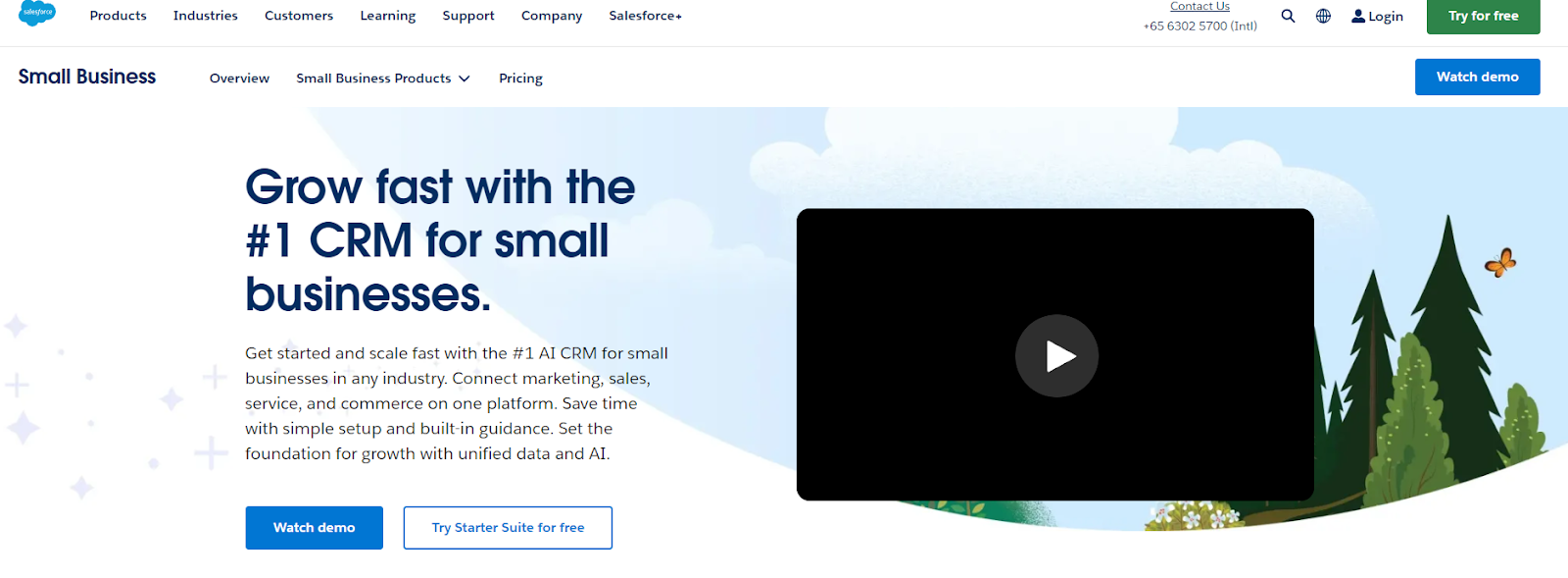 Salesforce: Grow fast with the #1 CRM for small businesses