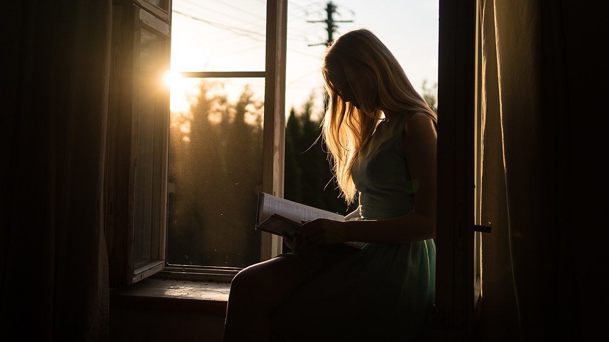 Study Girl DP of a girl reading a book in the sunset hour
