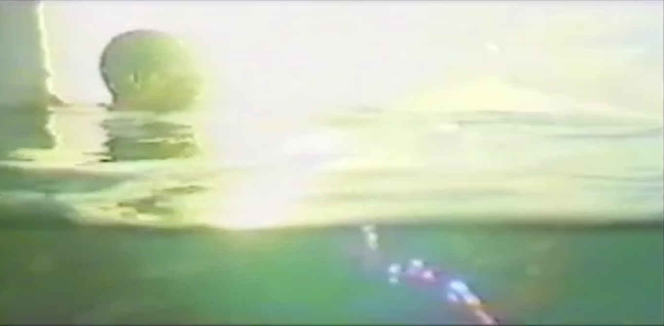 A screenshot from the Ruddock campaign. It shows an overexposed image of the waterline, with a shadowy head above water with the sun in the background, and an unidentifiable shape below the water.