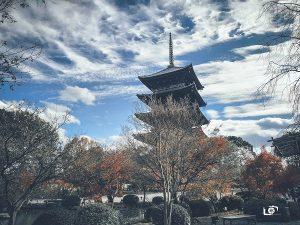 A building with trees and blue sky

Description automatically generated