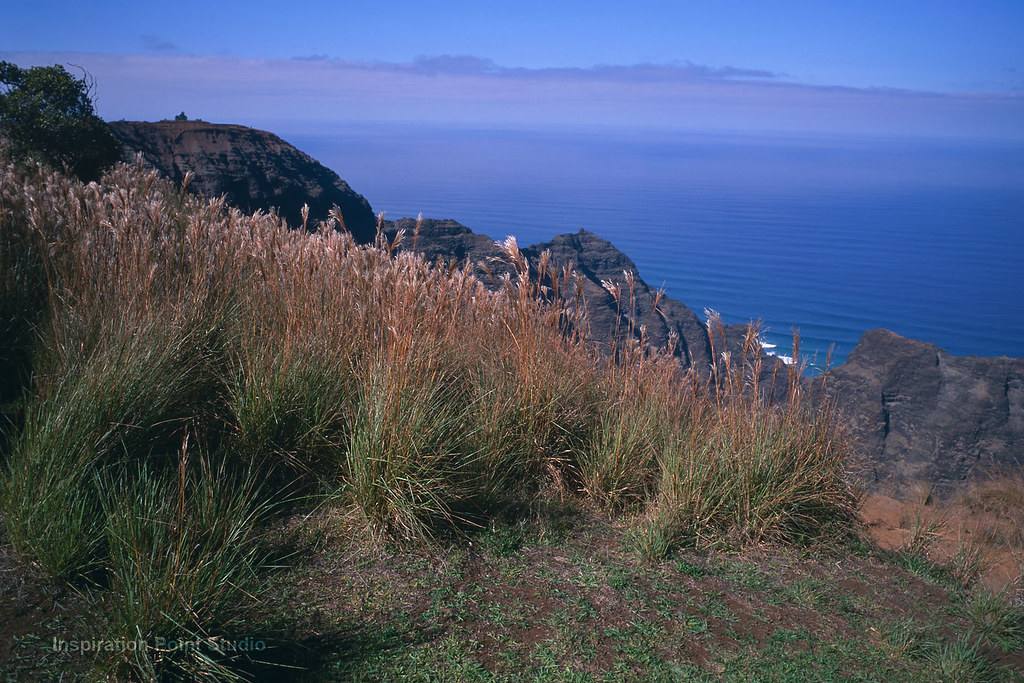 Grass on mountain and beautiful view of clean and clear water.
