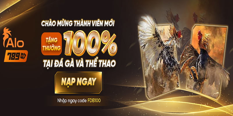 Cách Tham Gia Các Chương Trình Khuyến Mãi Tại Nhà Cái Alo789