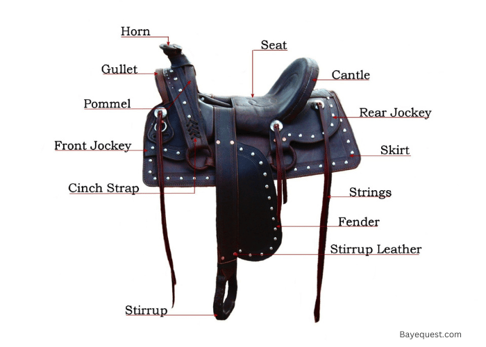 Parts of a Western Saddle