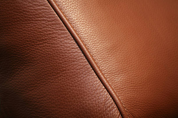 Leather Sofa