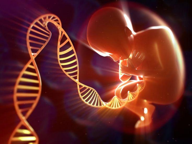 How do parents influence new genetic mutations in children_