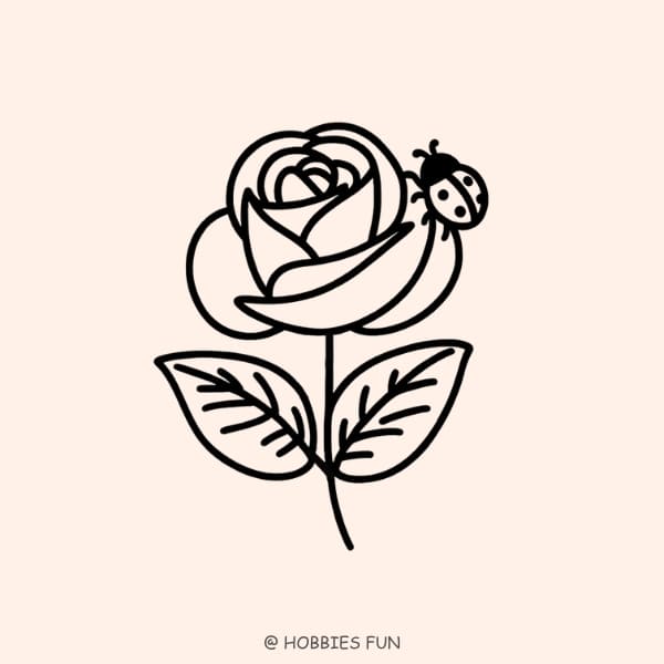 easy rose to draw, Rose with Ladybug