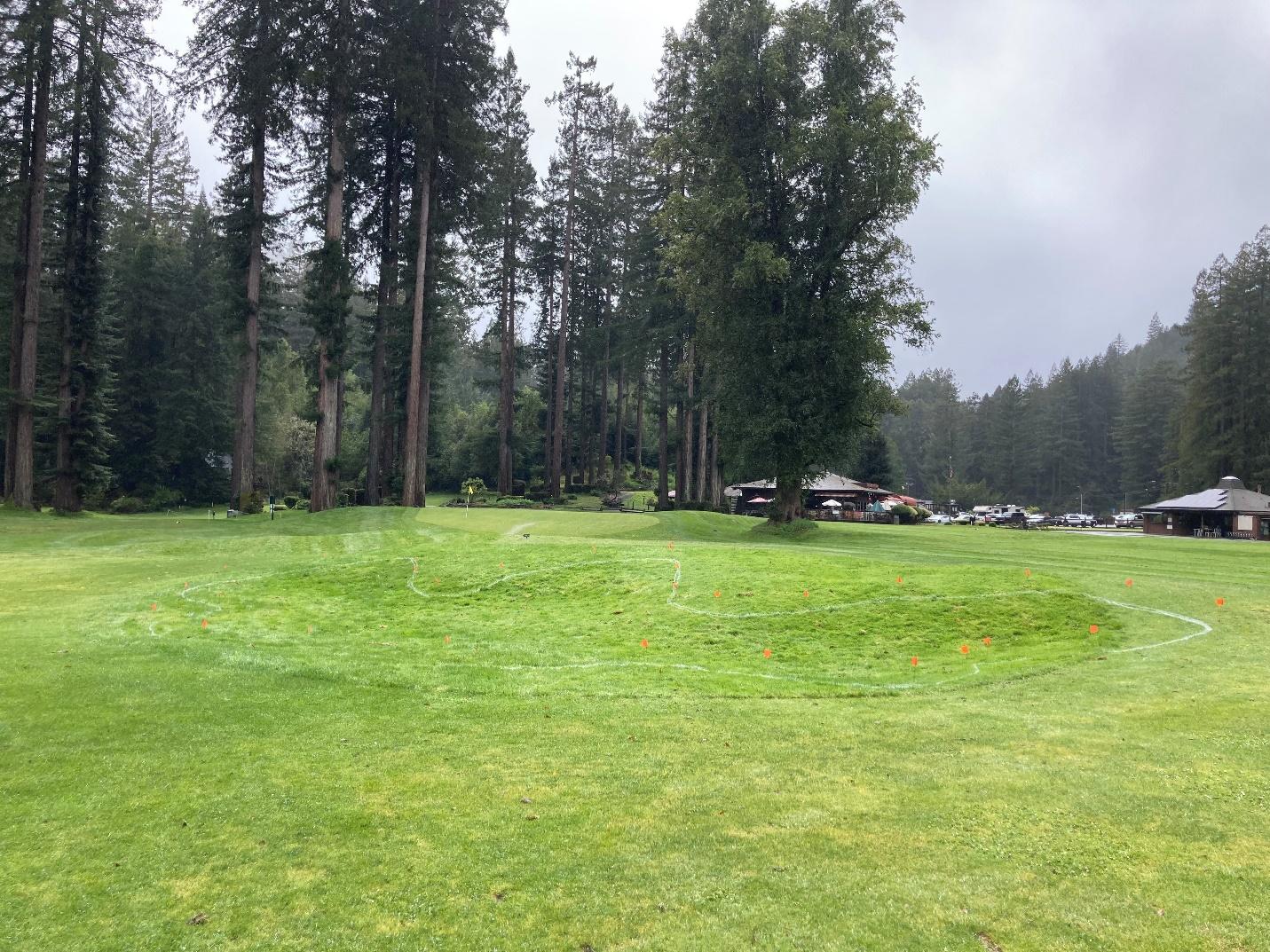 A large grassy area with trees in the background

Description automatically generated