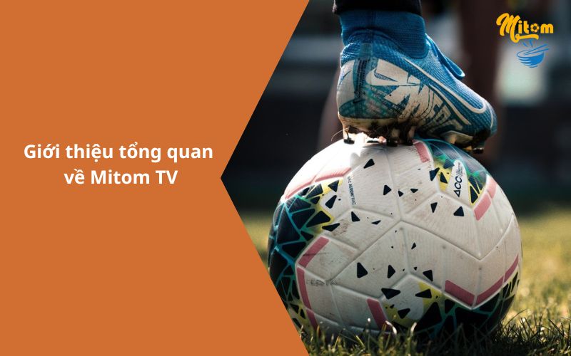 Mitom TV – Kênh trực tiếp bóng đá chất lượng nhất thị trường-1