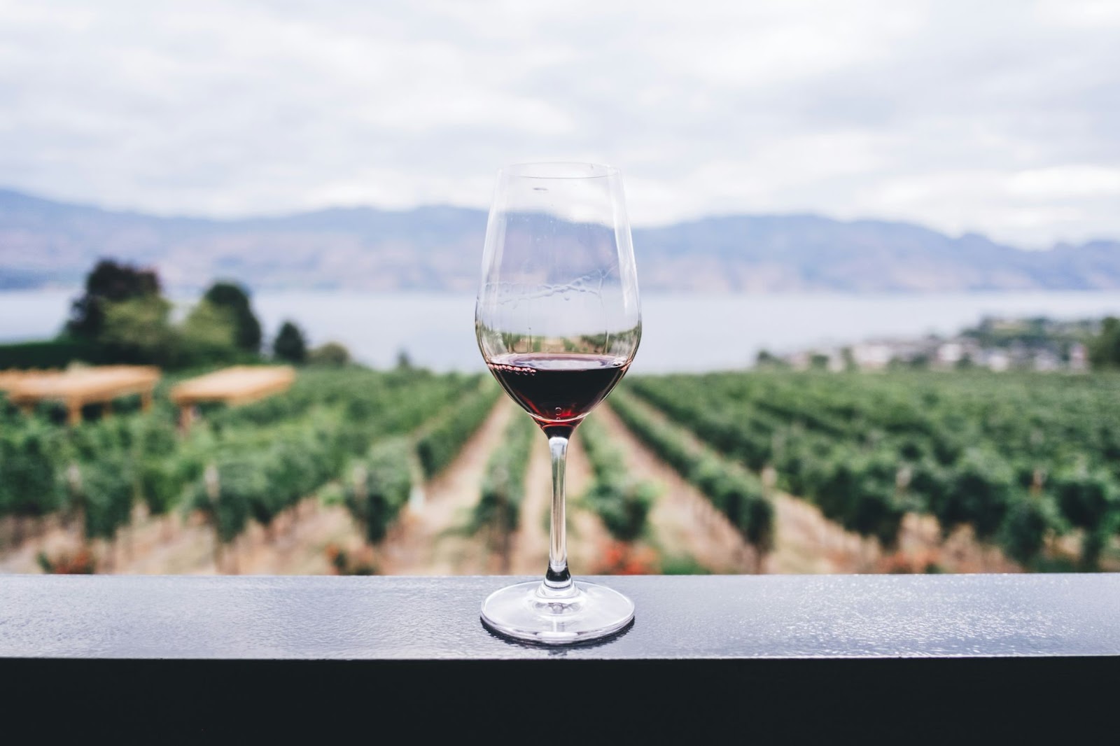 a wine glass perched on the ledge of a patio overlooking a vineyard at one of kelowna's wineries