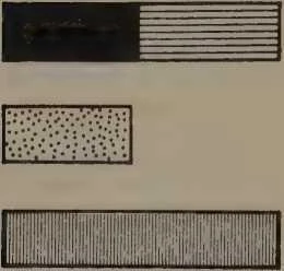 main-61.jpg