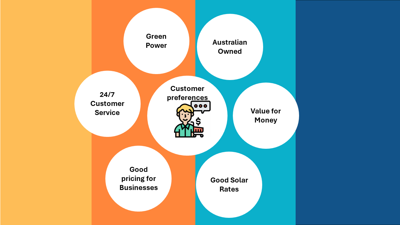 Different Australians have different preferences when it comes to picking an energy provider. This includes but is not limited to: business being Australian-owned, having green power options, good solar rates and having plans that give value for money. 
