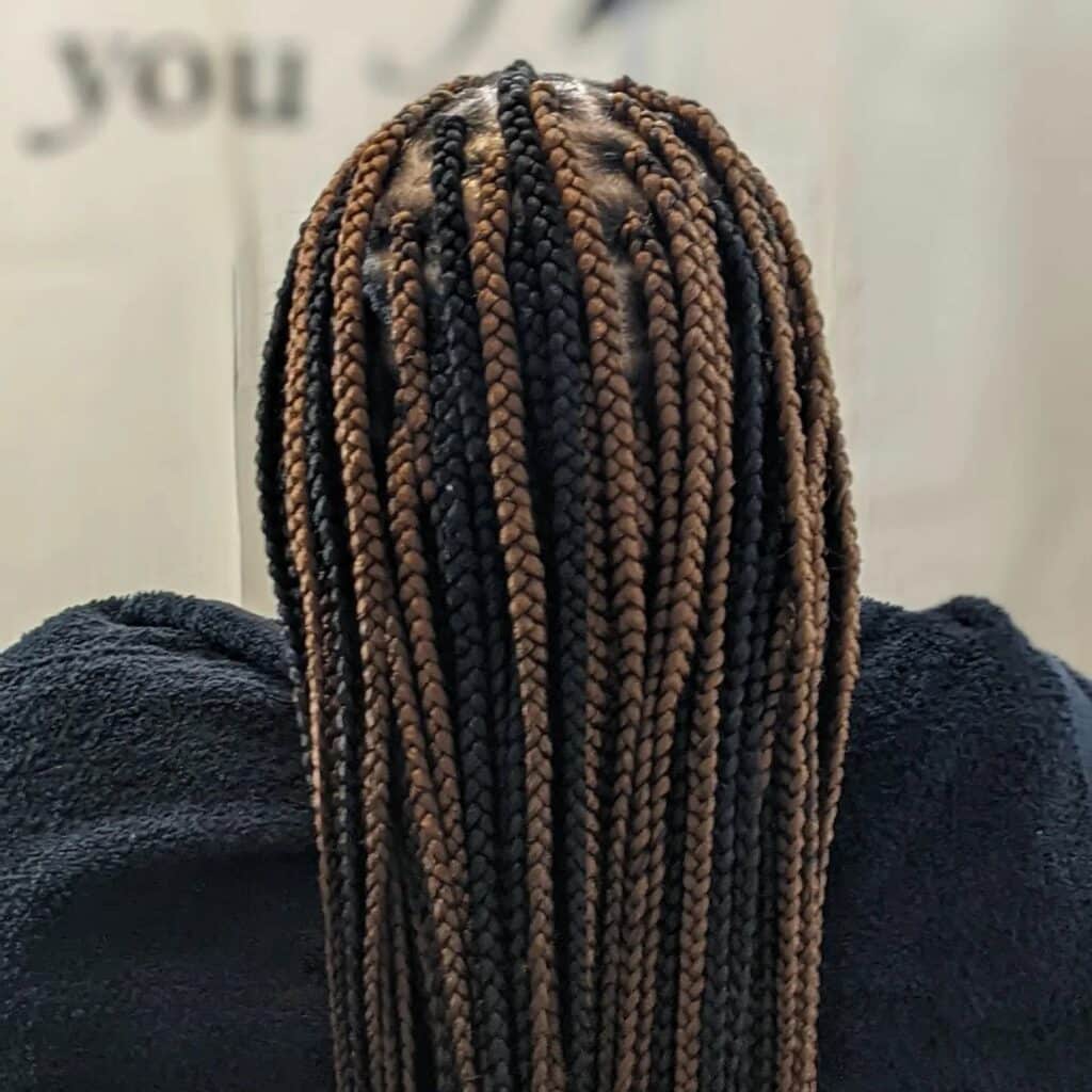 Black and Brown Braids as a style of brown braids