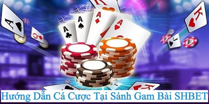 Hướng dẫn tham gia cá cược tại Shbet