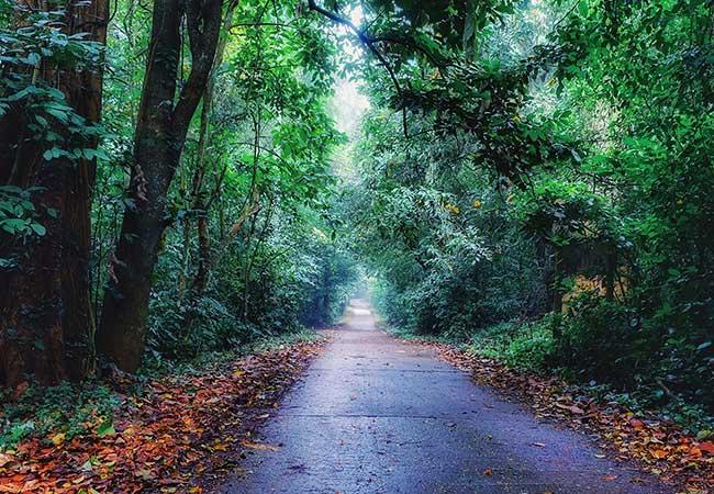 cuc phuong national park