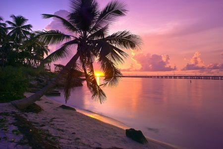 Tips For Vibes Filled Vacation