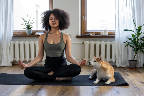 Home Wellness ExplAIned