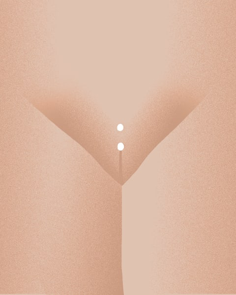 Graphic image of the Christina Piercing