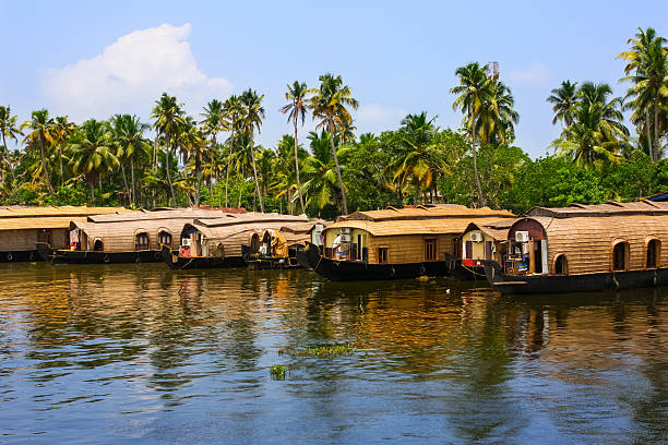 Kochi backwaters