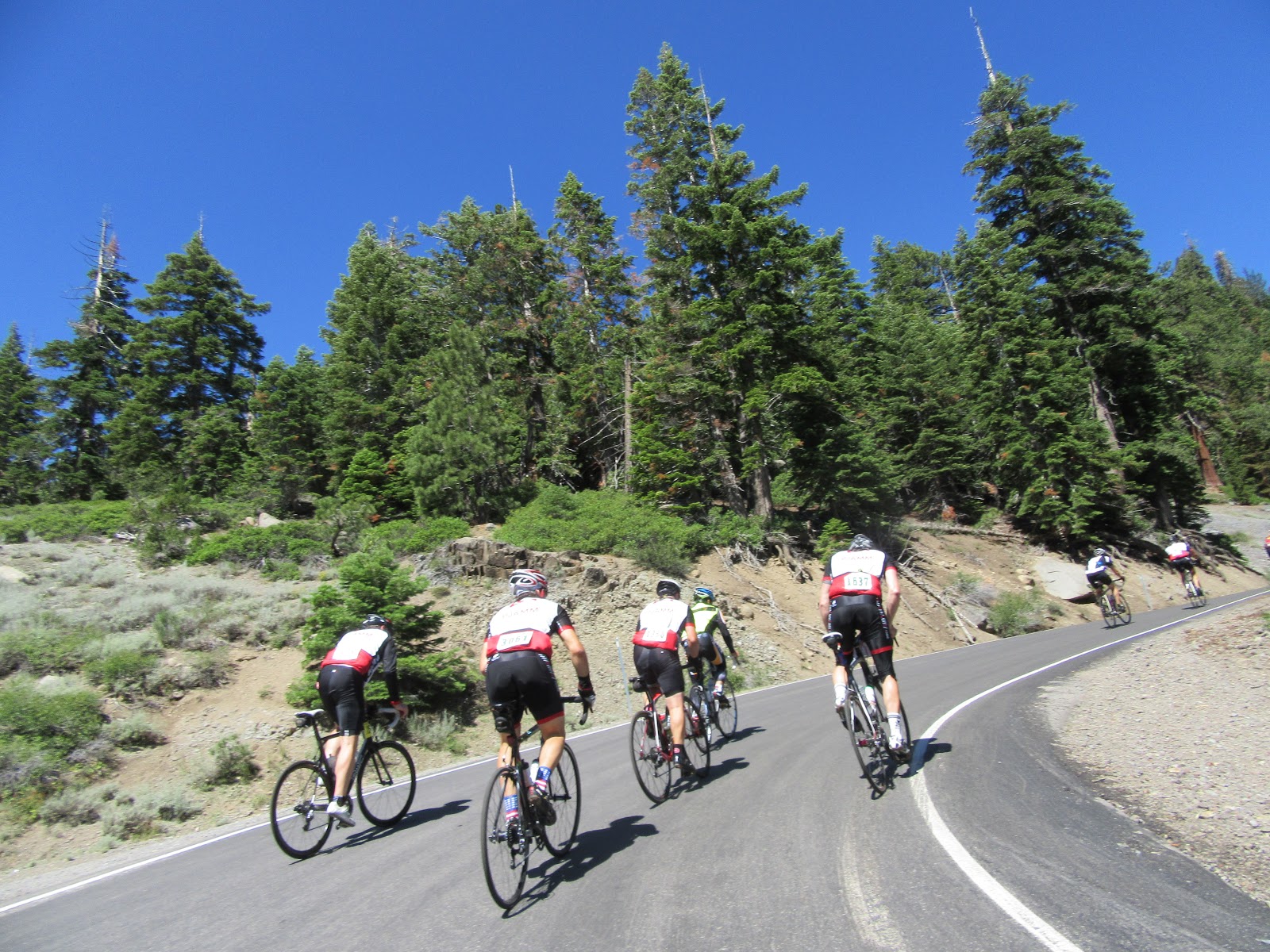 PJAMM Cyclists climb on Ebbetts Pass East, the steepest segment of the Death Ride