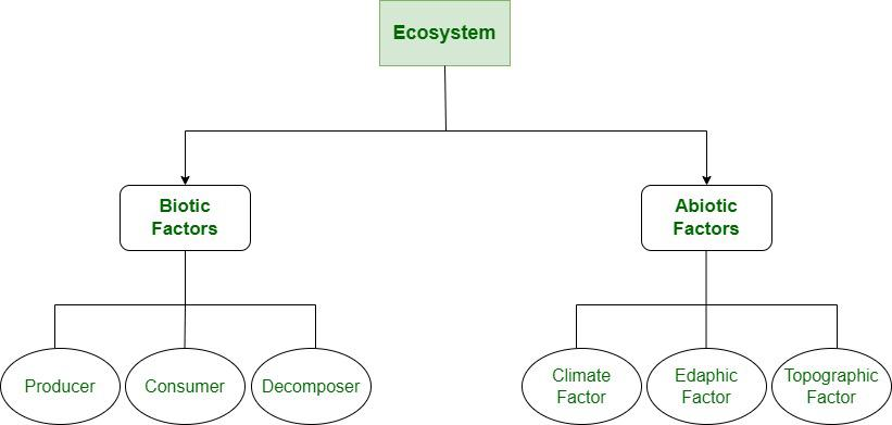 COMPONENTS OF AN ECOSYSTEM