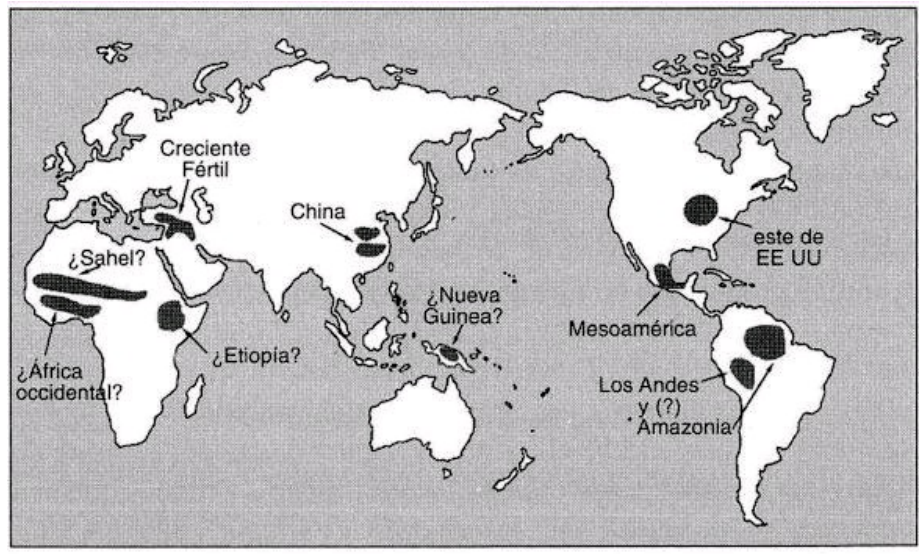 RESUMEN DEL LIBRO ARMAS, GÉRMENES Y ACERO - Resúmenes de Arqueología